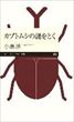 カブトムシの謎をとく（小島渉）