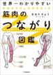 世界一わかりやすい筋肉のつながり図鑑（きまたりょう）